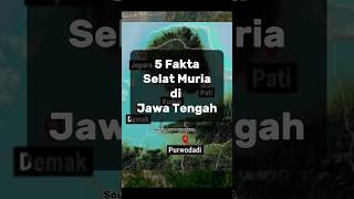 5 Fakta Selat Muria di Jawa Tengah. Akankah muncul kembali ? #selatmuria #jawatengah