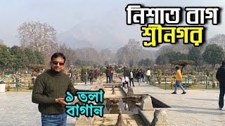 মুঘল গার্ডেন নিশাত, শ্রীনগর, কাষ্মীর | Nishat Bagh, Srinagar | Flying Bird |