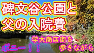 碑文谷公園と父の入院費！！移りゆく学大商店街を歩きながら～