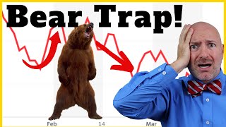 What is a Bear Market Rally and How Should You Invest?