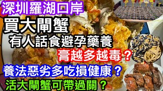 深圳羅湖口岸買蟹帶回港（精華版）｜活大閘蟹點解可過關不違法｜有人話口岸大閘蟹都是食避孕藥大｜越爆膏越有問題｜養法惡劣多吃損健康？｜傳言都是真的嗎