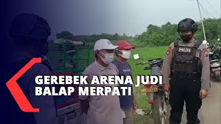 Polisi Gerebek Arena Judi Balap Merpati, Pelaku Lari Tunggang-Langgang