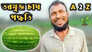 তরমুজ চাষ পদ্ধতি | Watermelon Chas | তরমুজ চাষের উপযুক্ত সময় | তরমুজ চাষ | AGRO MOTION