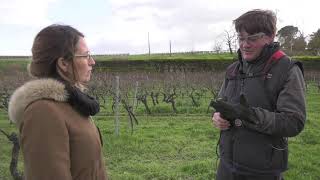 FR - Une vigne à ma taille #5 SÉCURITÉ - INFACO