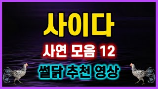 [역대급 사이다 사연] 막장 진상 시어머니 참교육 무개념 시누이 역관광 썰닭 추천 레전드사연 모아보기 사연모음 이혼썰 파혼썰 네이트판 레전드 사연라디오 결시친 실화사연 막장사연