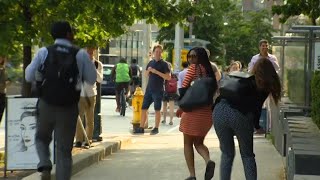 Red-winged blackbird attacks pedestrians in CityPlace