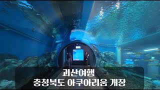 [SNS 서포터즈] 🐠괴산여행 충청북도 아쿠아리움 개장🐠