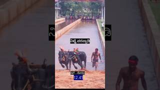 Nitte parappadi #kambala #kambula #mangalore #latest #udupi #nitte #karkala #karnataka #india #kudla