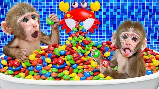 KiKi Monkey play with Duckling in Rainbow Bathtub by Magic Candy Shower in toilet | KUDO ANIMAL KIKI