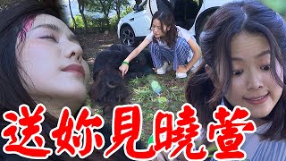 一家團圓│EP106 霏霏懷孕！？曉萍祝福反遭丟棄深山 查理無言超傻眼 Family Reunion│ Vidol.tv