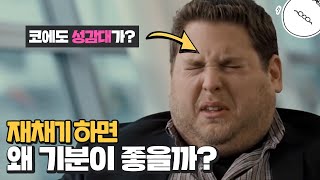 재채기를 하면 왜 기분이 좋아질까? 왜 햇빛을 보면 재채기를 할까? [미나니의 스낵교양]