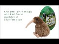 new zealand brown kiwi soft toy with real kiwi sound inside an egg