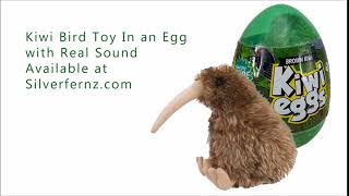 New Zealand Brown Kiwi Soft Toy with Real Kiwi Sound Inside an Egg