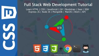13. Using browser inspector tools - Full stack web development Tutorial Course