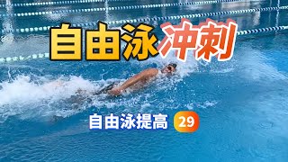 【自由泳提高】29.冲刺｜梦觉教游泳