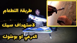 طريقة التطعام بالسيبيا لاستهداف سمك الدرعي ( بوشوك )