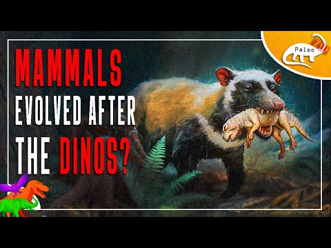 Mammals evolved after dinosaurs PaleoFAILS