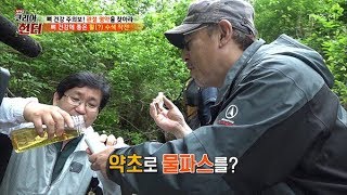 뿌리기만해도 통증이 사라진다?! 귀한 약초 ‘강활’의 정체! [뉴 코리아 헌터] 104회 20180528