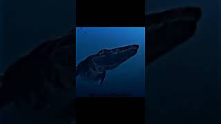 Sea monsters pt3, Tylosaurus☠️ #capcut #tiktok #youtubeshorts #fyp