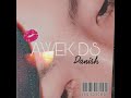 AWEK DS ( OFFICIAL AUDIO )