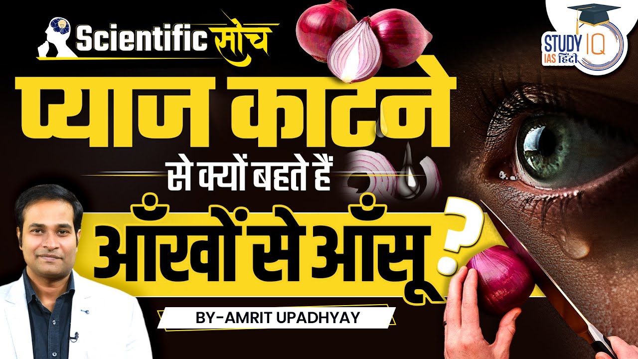 Why Do Onions Make You Cry? | Human Tears | Amrit Upadhyay | Scientific ...