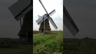 Meervogel molen. Garrelsweer