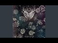 Antiqua Somnia