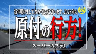 新年明けましておめでとうございます。2025年の原付の行方