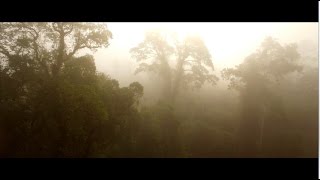 ជ្រលងអារ៉ែង ខេត្តកោះកុង The Valley of Areng, Koh Kong, Cambodia.