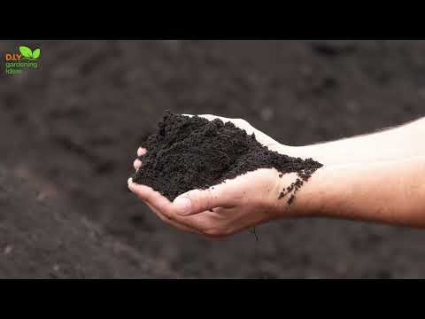 Which horizon of the soil is most fertile?