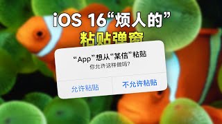 iOS16总出现粘贴弹窗太烦了，怎么办？