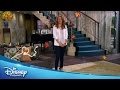 Disney Channel | Happy Thanksgiving! | Official Disney Channel US