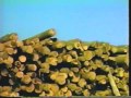 Logging Railroads of the Sierras - Pickering Lumber Corporation & West Side Lumber Co