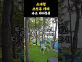 야외에서 속초 바다 바라보며 빵과 커피🌊☕️ shorts 쇼츠 카페 강원도 속초 속초맛집 속초여행 속초카페 카페추천 대형카페 속초가볼만한곳