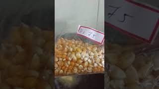 homemade popcorn/വളരെ എളുപ്പത്തിൽ പോപ്കോൺ ഉണ്ടാക്കാം/#shorts