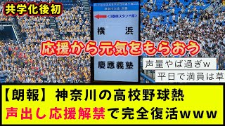 【応援】高校野球熱MAX の神奈川県大会の熱量を肌で感じる 【作業用 BGM】 | 2023年夏の決勝 慶応 x 横浜