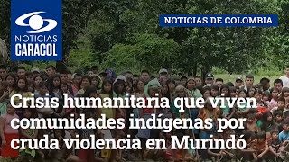 Crisis humanitaria que viven comunidades indígenas por cruda violencia en Murindó