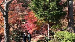 Keisokuji Temple,  Nagahama City, Shiga Prefecture