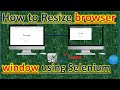 How to Resize browser window using Selenium | Pradeep Nailwal