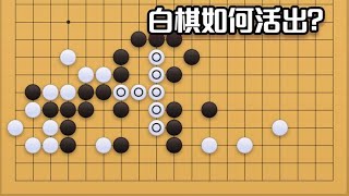 围棋： 围棋实战手筋（244）