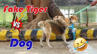 Fake Tiger VS Real Dog Super Funny _Top 5 Dog Prank Comedy Video 2022 _Try To Not Laugh