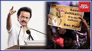 DMK Workers To Go On Fasting Protest Against Jallikattu Ban