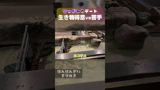 苦笑いやめて？ - 【サウナ】コムドットひゅうがをチルデートに誘ったら過去1盛り上がりすぎたwwww【コムばんざい】【shorts】【ばんばんざい】【切り抜き】