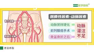 阴茎血管有问题会导致勃起功能障碍（阳痿）吗？