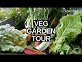 Homestead VEGETABLE Garden Tour (Easter 2019)