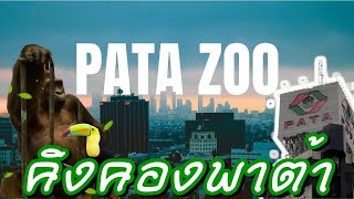 สวนสัตว์บนดาดฟ้าและคิงคองพาต้า เจ้าบัวน้อยกอริลลาตัวสุดท้ายในไทย PATA ZOO