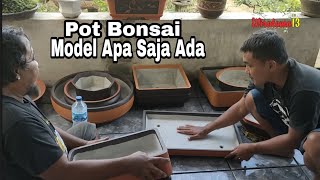 CHECK PRICE OF BONSAI POT AT MAS EDY'S HOUSE