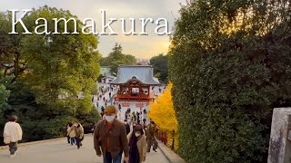 Subtitled | Japan | Kamakura - Tsurugaoka Hachiman Shrine| A Stroll through an Old and New City