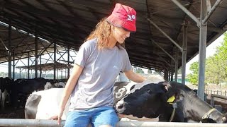 Identification Methods Used in Farm Animals