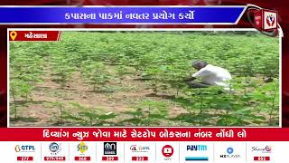 #mehsana | વિસનગરના કુવાસણા ગામના ખેડૂતની મહેનત | Divyang News